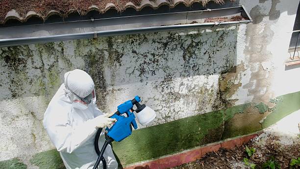 Top rated local Attic Mold Remediation specialists in Abingdon, MD